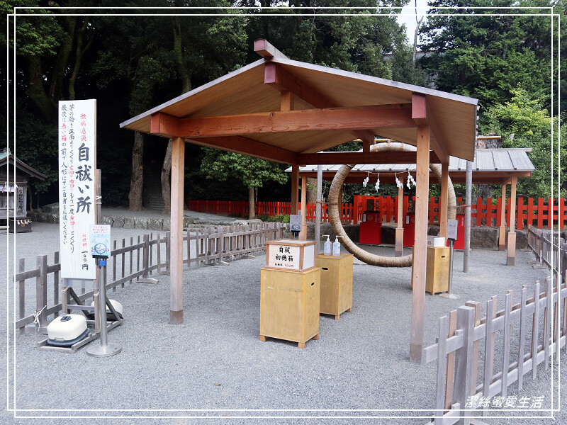 鶴岡八幡宮-日本鎌倉/東京近郊必訪古都歷史景點~東日本的信仰中心