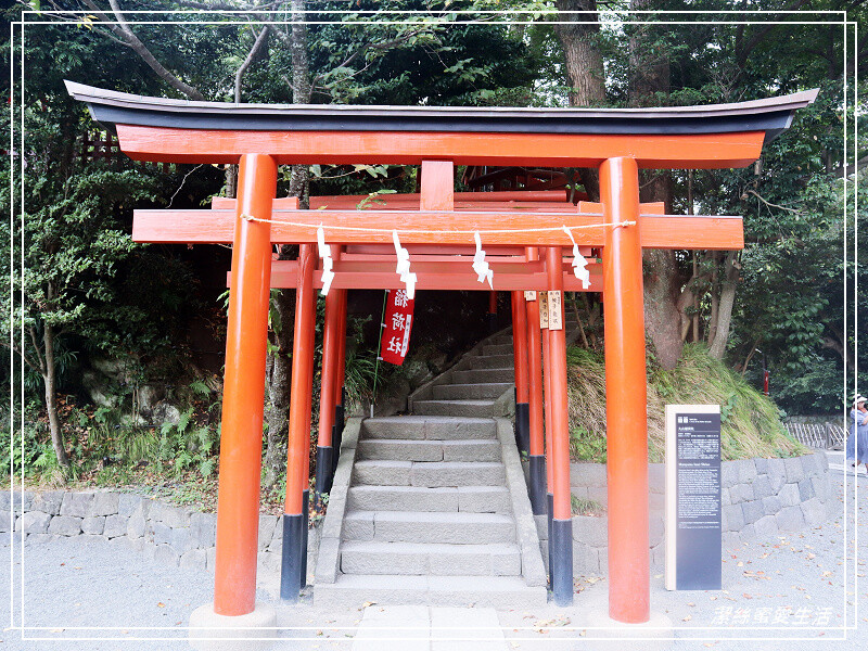 鶴岡八幡宮-日本鎌倉/東京近郊必訪古都歷史景點~東日本的信仰中心