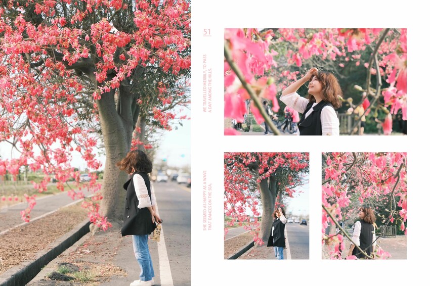 [彰化二林景點] 香田國小美人樹步道｜枝條垂落美人樹爆發｜浪漫粉色花海｜秋季限定美景｜2023.11.12花況 - 萍姐愛分享