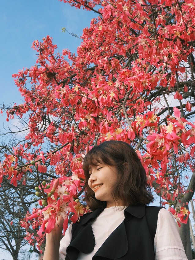 [彰化二林景點] 香田國小美人樹步道｜枝條垂落美人樹爆發｜浪漫粉色花海｜秋季限定美景｜2023.11.12花況 - 萍姐愛分享