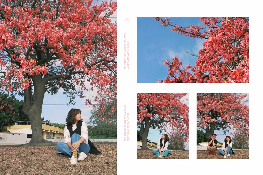 [彰化二林景點] 香田國小美人樹步道｜枝條垂落美人樹爆發｜浪漫粉色花海｜秋季限定美景｜2023.11.12花況 - 萍姐愛分享