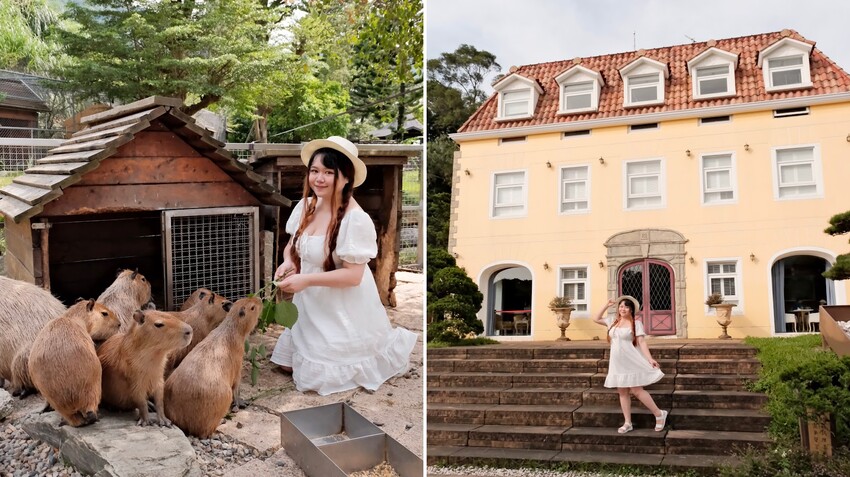 【桃園景點推薦】 2023熱門親子景點蘇家莊園~還有超多小動