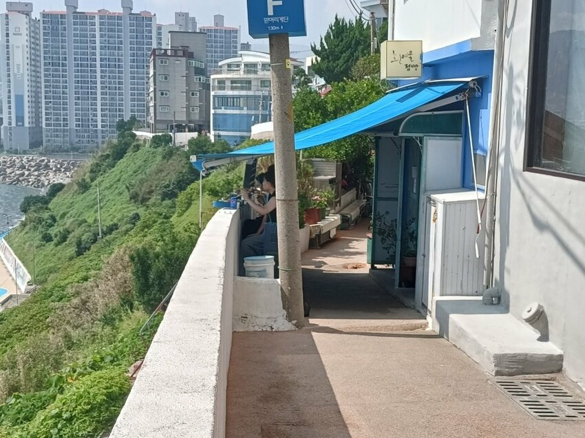 2023韓國釜山|五六島天空步道手工布丁必吃!白淺灘文化村、