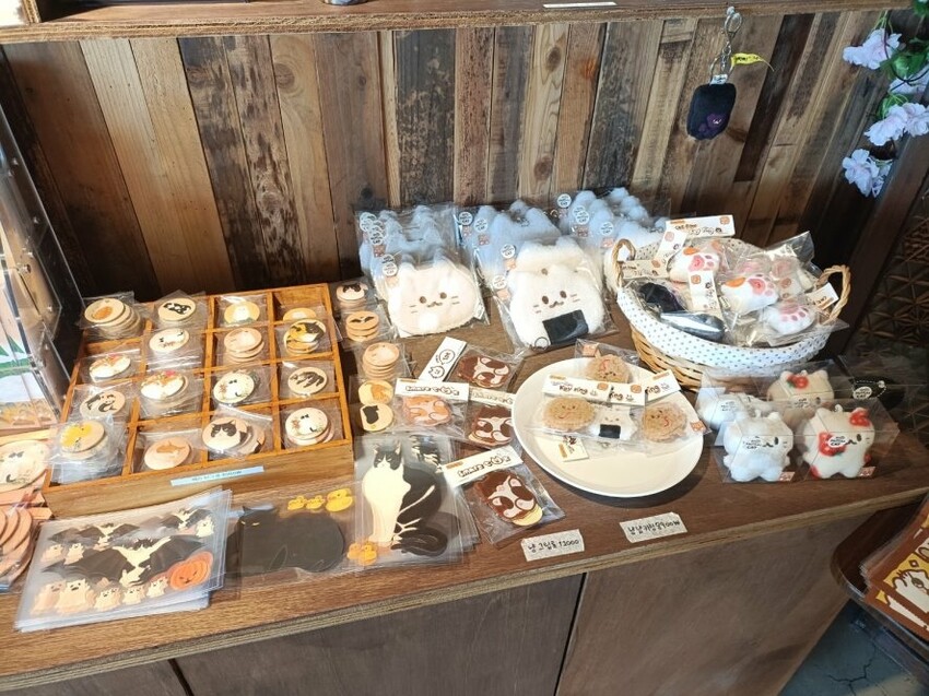 2023韓國釜山|五六島天空步道手工布丁必吃!白淺灘文化村、