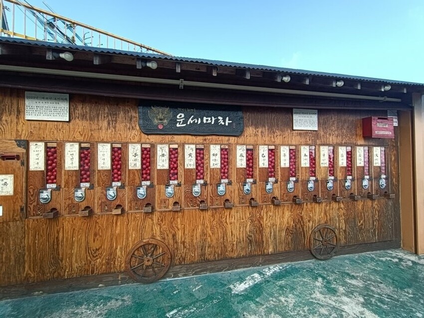 2023韓國釜山|五六島天空步道手工布丁必吃!白淺灘文化村、