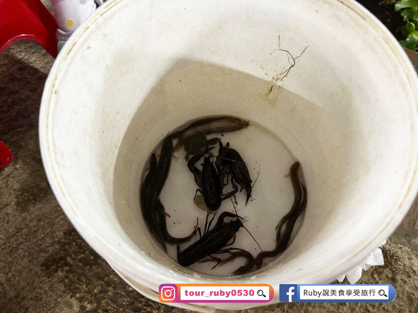 【桃園親子景點】陽榮生態農場,門票100元可全部折抵,可讓孩 【桃園親子景點】陽榮生態農場,門票100元可全部折抵,可讓孩