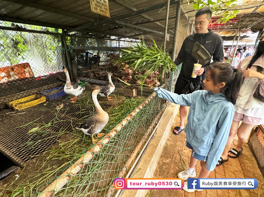 【桃園親子景點】陽榮生態農場,門票100元可全部折抵,可讓孩 【桃園親子景點】陽榮生態農場,門票100元可全部折抵,可讓孩