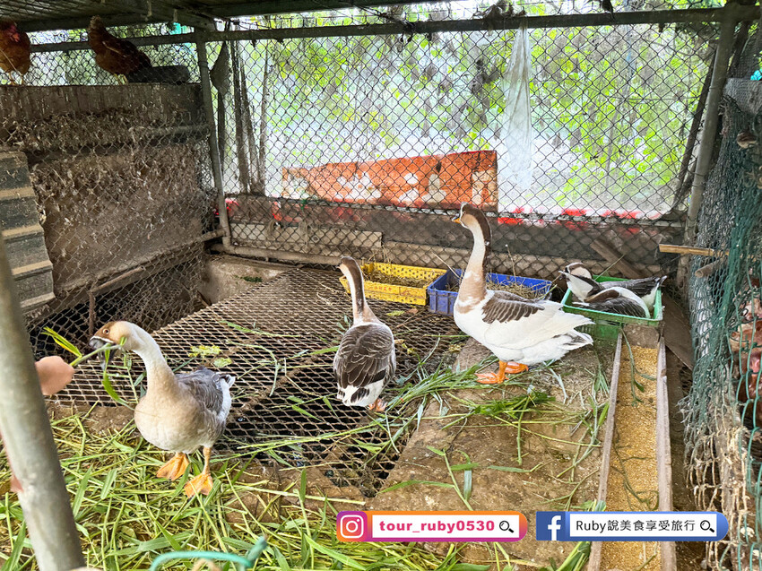 【桃園親子景點】陽榮生態農場,門票100元可全部折抵,可讓孩 【桃園親子景點】陽榮生態農場,門票100元可全部折抵,可讓孩