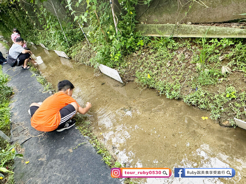 【桃園親子景點】陽榮生態農場,門票100元可全部折抵,可讓孩 【桃園親子景點】陽榮生態農場,門票100元可全部折抵,可讓孩