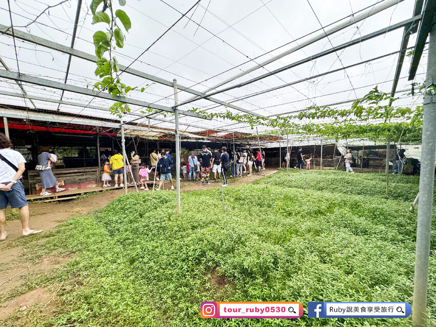 【桃園親子景點】陽榮生態農場,門票100元可全部折抵,可讓孩 【桃園親子景點】陽榮生態農場,門票100元可全部折抵,可讓孩