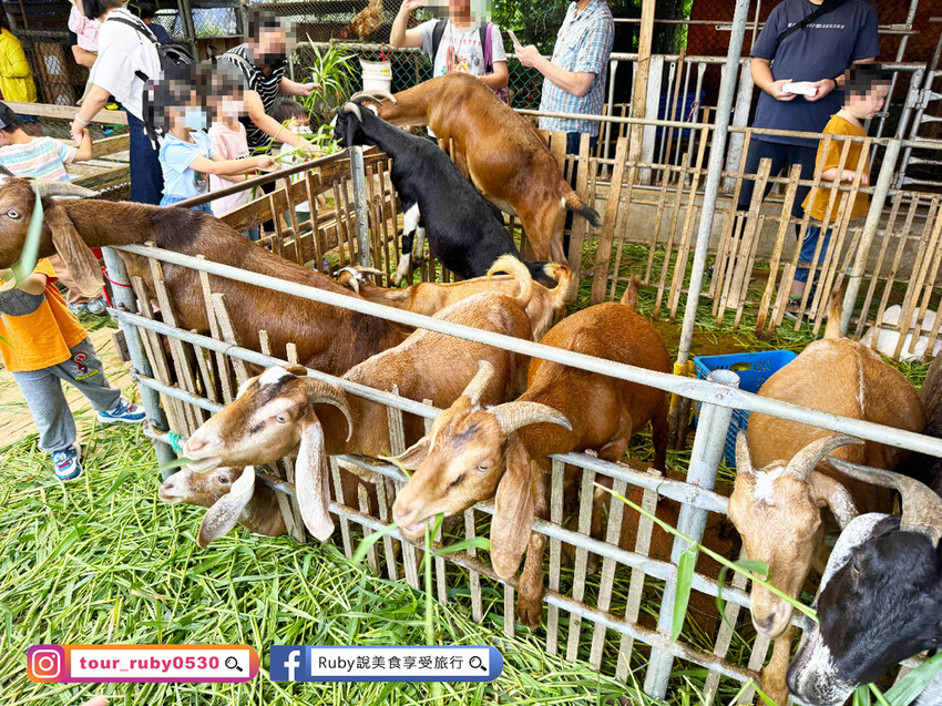 【桃園親子景點】陽榮生態農場,門票100元可全部折抵,可讓孩 【桃園親子景點】陽榮生態農場,門票100元可全部折抵,可讓孩