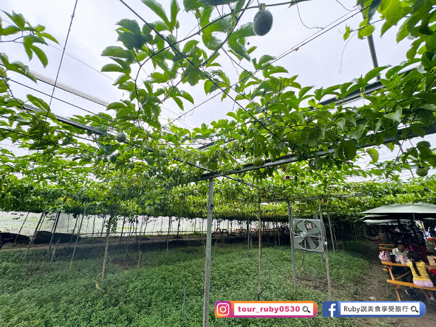 【桃園親子景點】陽榮生態農場,門票100元可全部折抵,可讓孩 【桃園親子景點】陽榮生態農場,門票100元可全部折抵,可讓孩