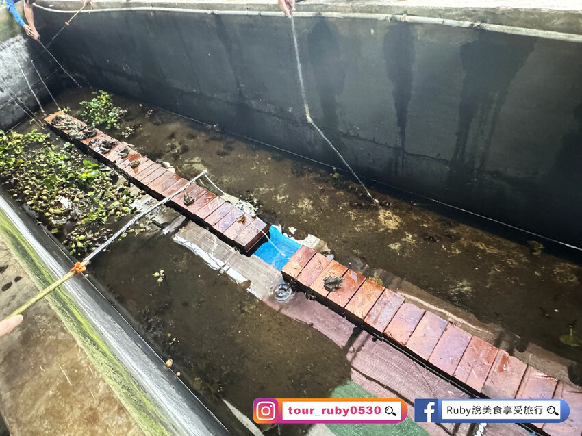 【桃園親子景點】陽榮生態農場,門票100元可全部折抵,可讓孩 【桃園親子景點】陽榮生態農場,門票100元可全部折抵,可讓孩