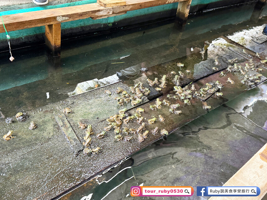 【桃園親子景點】陽榮生態農場,門票100元可全部折抵,可讓孩 【桃園親子景點】陽榮生態農場,門票100元可全部折抵,可讓孩