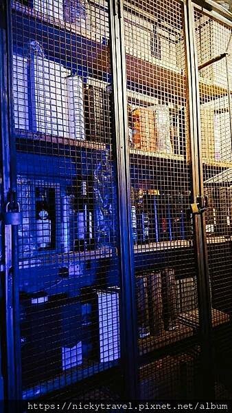 241203331_222010763214579_4055862615393864732_n