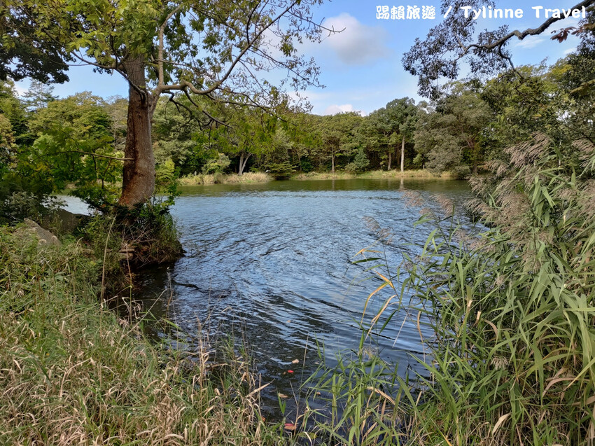 【北海道景點】大沼國定公園，新日本三景之一湖島群 | 湖光風景 | 函館景點 | 日本旅遊景點推薦