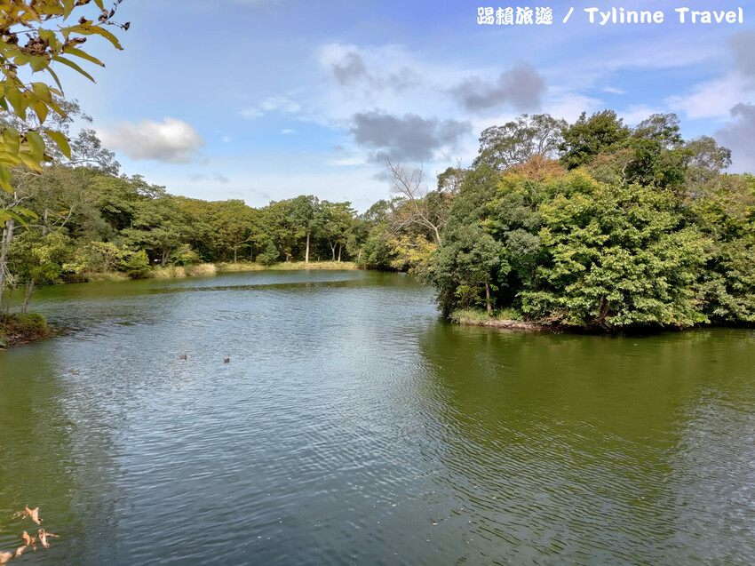 【北海道景點】大沼國定公園，新日本三景之一湖島群 | 湖光風景 | 函館景點 | 日本旅遊景點推薦