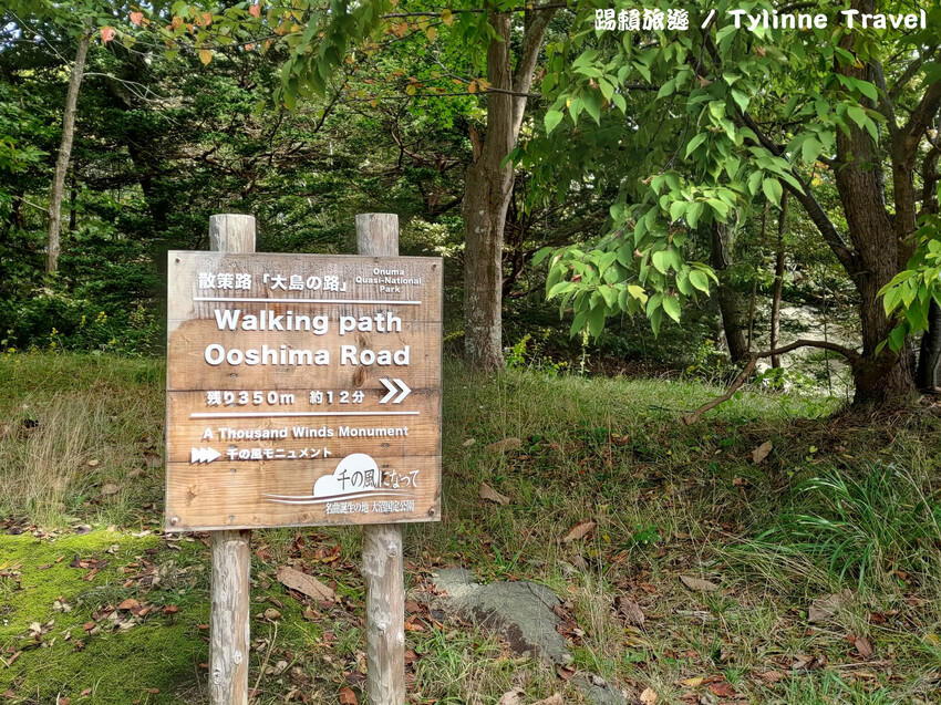 【北海道景點】大沼國定公園，新日本三景之一湖島群 | 湖光風景 | 函館景點 | 日本旅遊景點推薦
