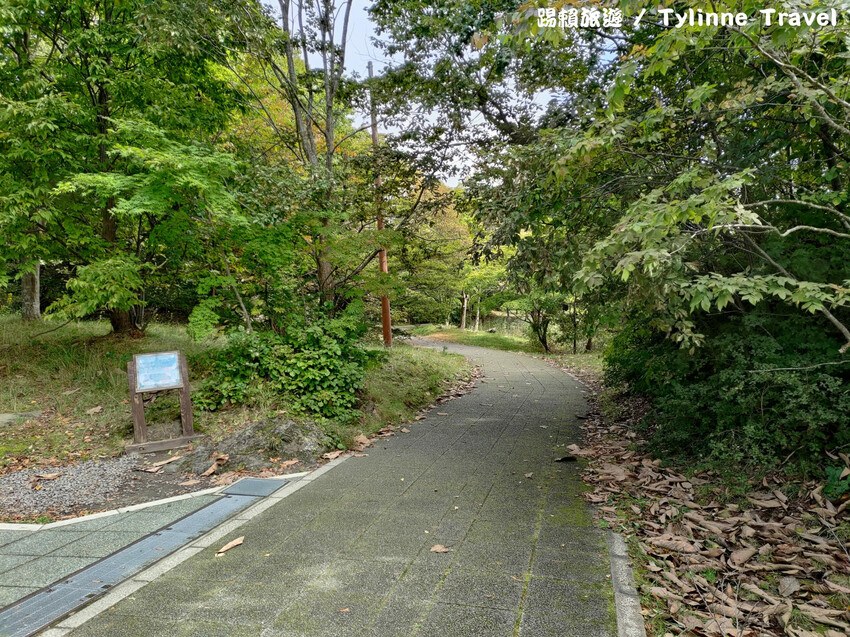【北海道景點】大沼國定公園，新日本三景之一湖島群 | 湖光風景 | 函館景點 | 日本旅遊景點推薦