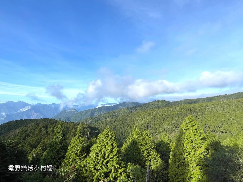 宜蘭景點》台灣山毛櫸國家步道｜走進太平山的檜木杉林裡，漫步在