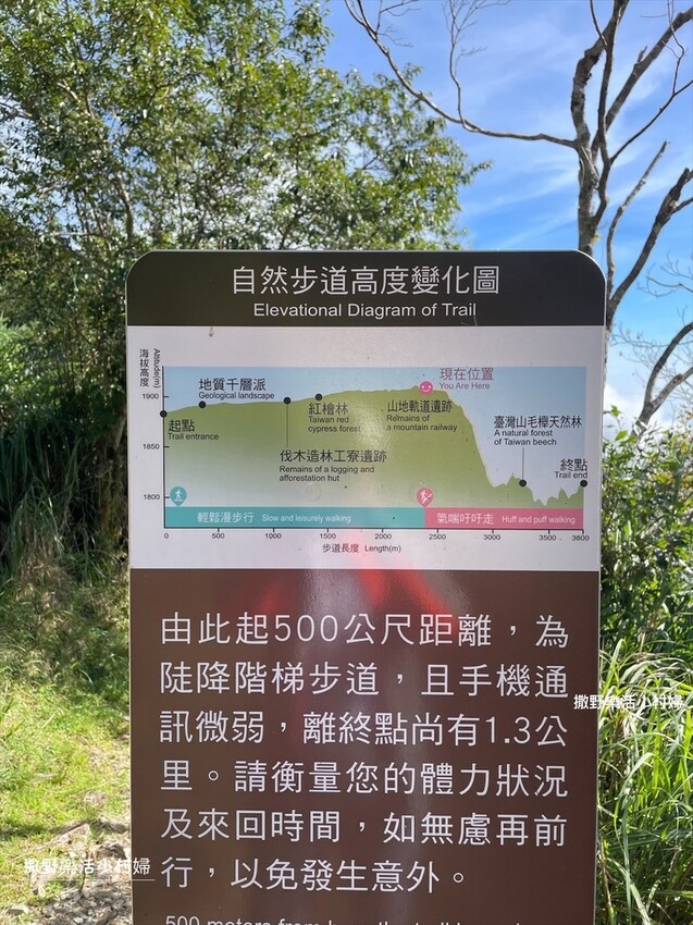 宜蘭景點》台灣山毛櫸國家步道｜走進太平山的檜木杉林裡，漫步在