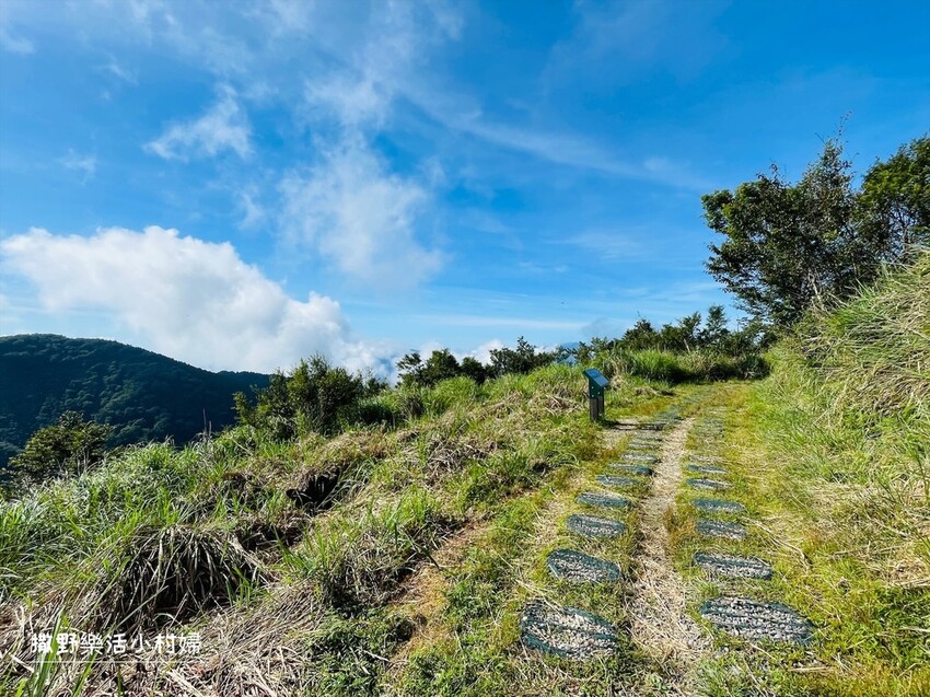 宜蘭景點》台灣山毛櫸國家步道｜走進太平山的檜木杉林裡，漫步在