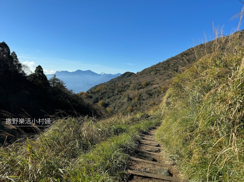 季節限定黃金森林秘境【台灣山毛櫸步道】交通及攻略｜宜蘭太平山