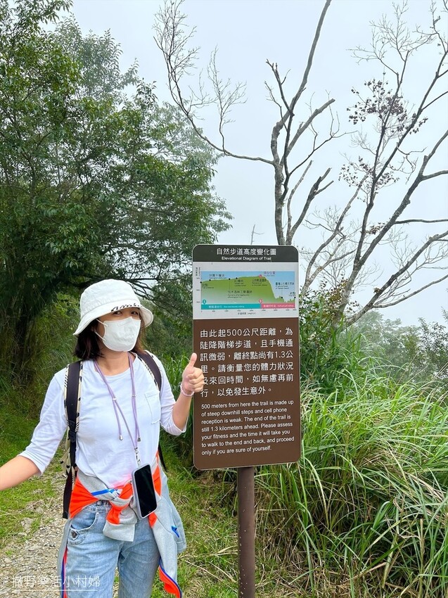 宜蘭景點》台灣山毛櫸國家步道｜走進太平山的檜木杉林裡，漫步在