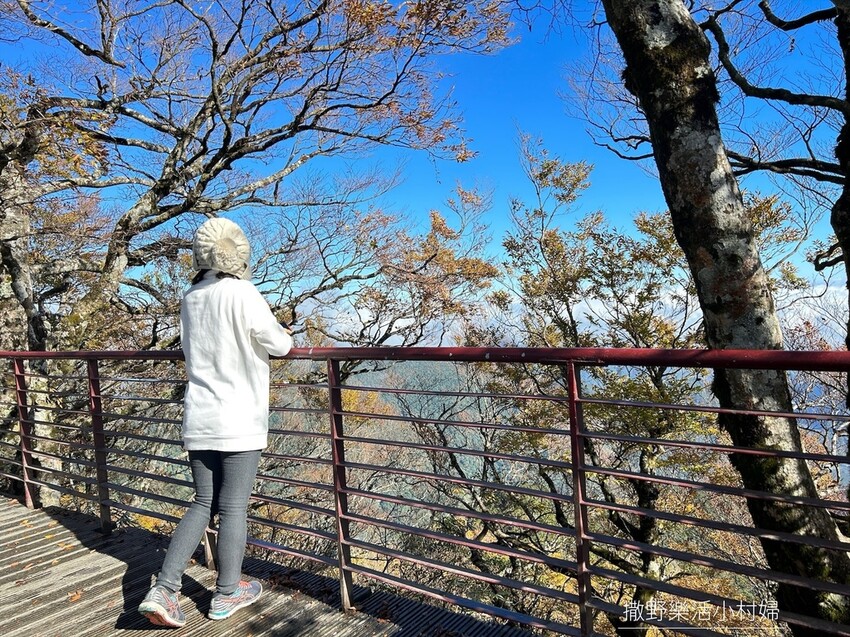 季節限定黃金森林秘境【台灣山毛櫸步道】交通及攻略｜宜蘭太平山