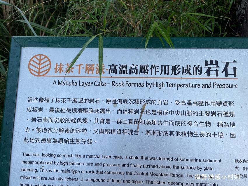 宜蘭景點》台灣山毛櫸國家步道｜走進太平山的檜木杉林裡，漫步在