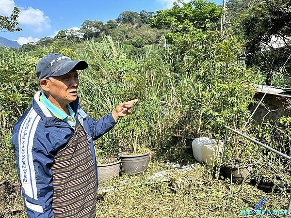 [中部活動] 台中和平 原流新創聚落【跟著Siliq去旅行 