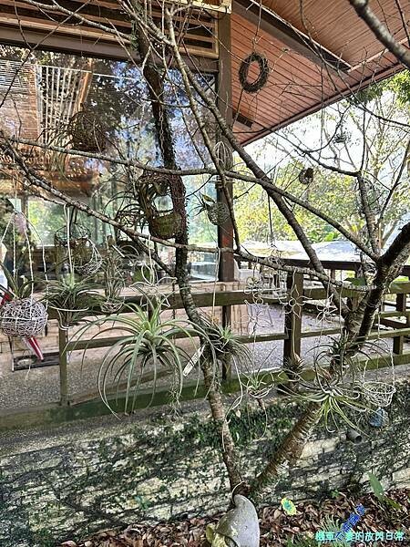 [中部活動] 台中和平 原流新創聚落【跟著Siliq去旅行 