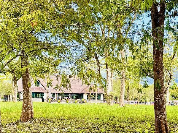 ★花蓮●壽豐*星巴克理想門市,一秒到歐洲,最新秘境絕美的童話