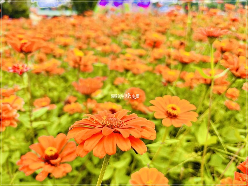 /tmp/phpI8JXU9 /tmp/phpI8JXU9