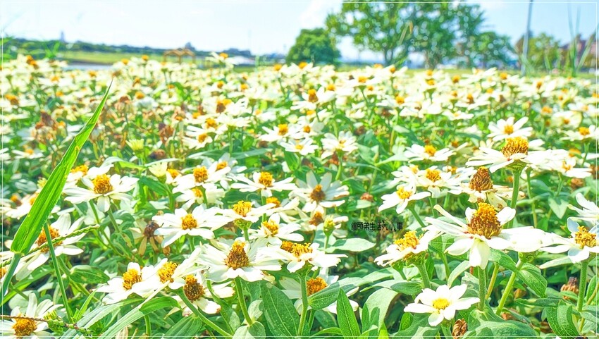 /tmp/php9Su3nZ /tmp/php9Su3nZ