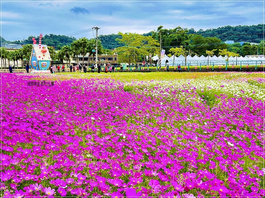 /tmp/phpm0bD6Q /tmp/phpm0bD6Q