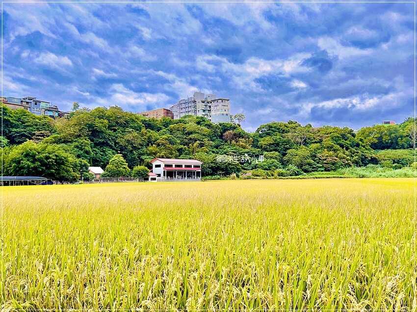 /tmp/phpytYfsL /tmp/phpytYfsL