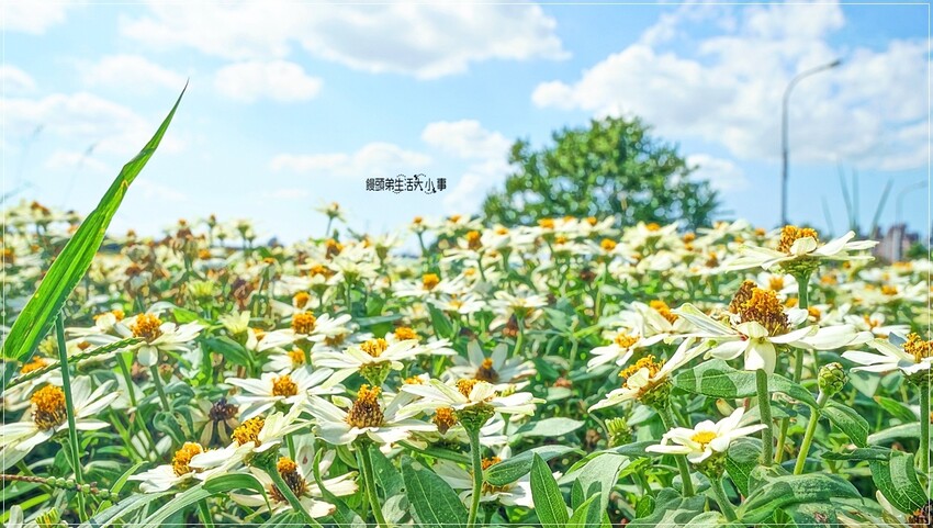 /tmp/phpjD4owR /tmp/phpjD4owR