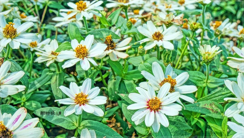 /tmp/phpo0DSpF /tmp/phpo0DSpF