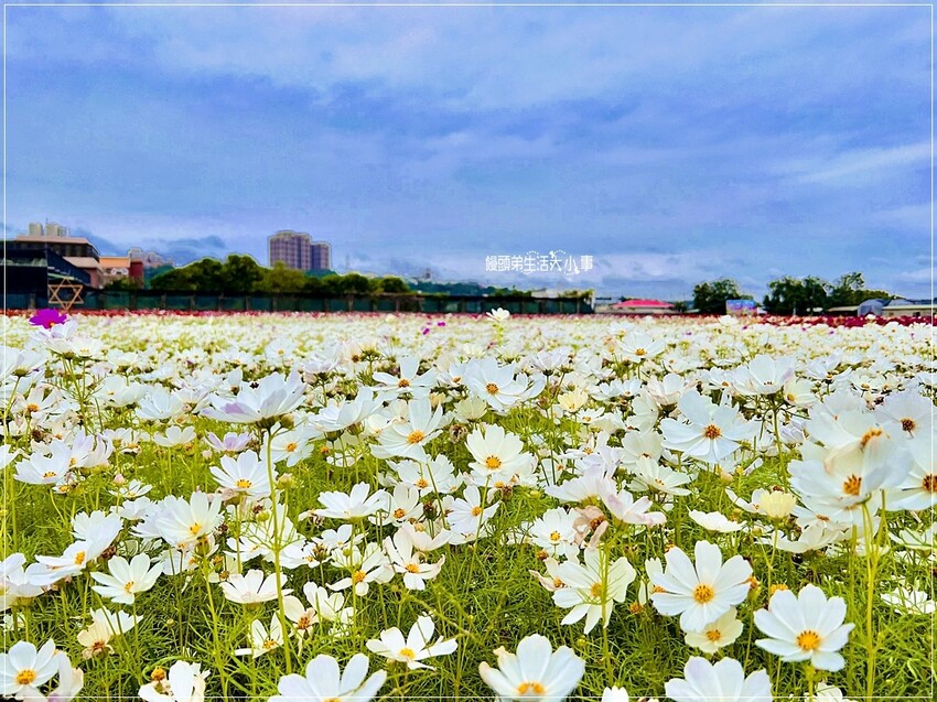 /tmp/phprQ0AvY /tmp/phprQ0AvY