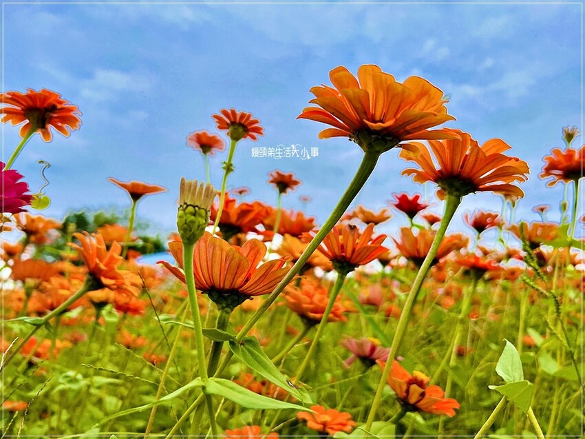 /tmp/php160B45 /tmp/php160B45