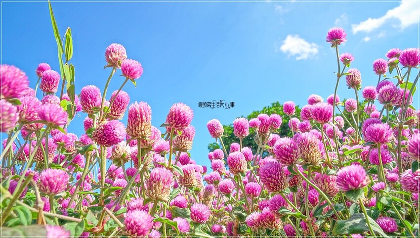 /tmp/phpKxmd0C /tmp/phpKxmd0C