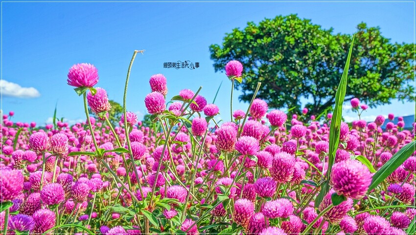 /tmp/phplJNVaT /tmp/phplJNVaT