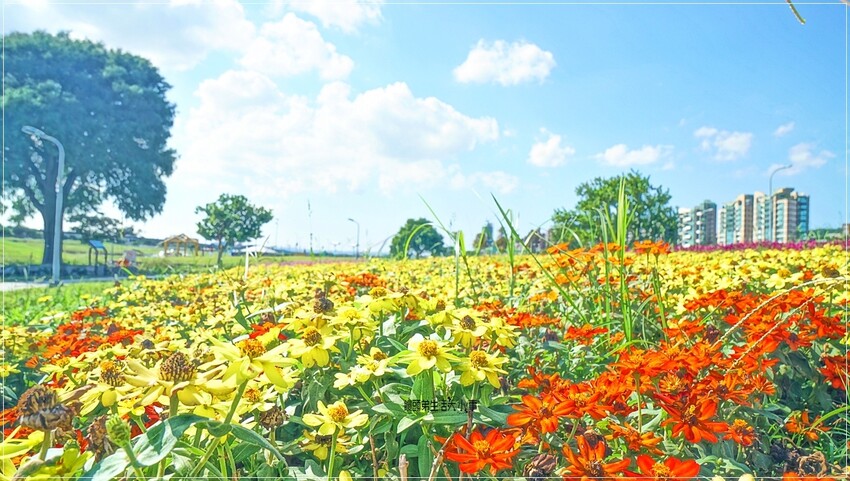 /tmp/phpu4X5gx /tmp/phpu4X5gx