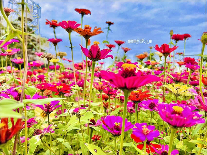 /tmp/phpO51O7Y /tmp/phpO51O7Y