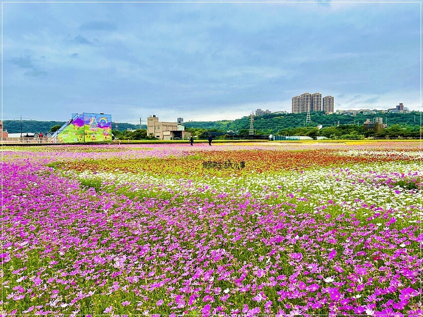 /tmp/phpL60mDq /tmp/phpL60mDq