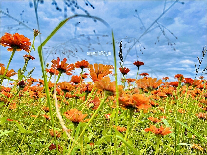 /tmp/php228yT2 /tmp/php228yT2