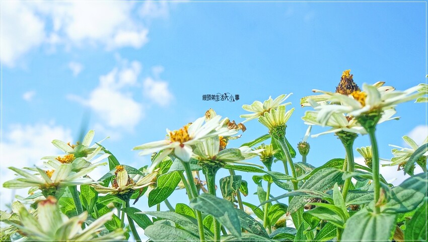 /tmp/phprdHjYK /tmp/phprdHjYK