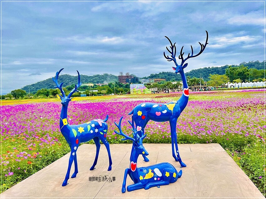 /tmp/phpcpIoN6 /tmp/phpcpIoN6