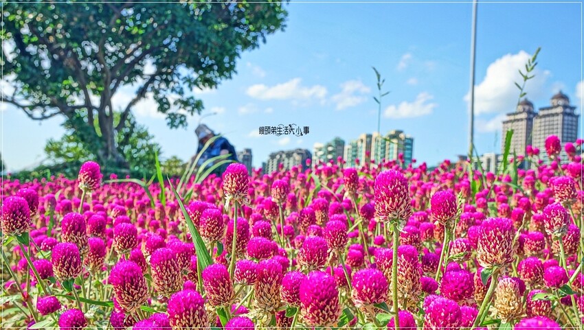 /tmp/php9Qqk2n /tmp/php9Qqk2n